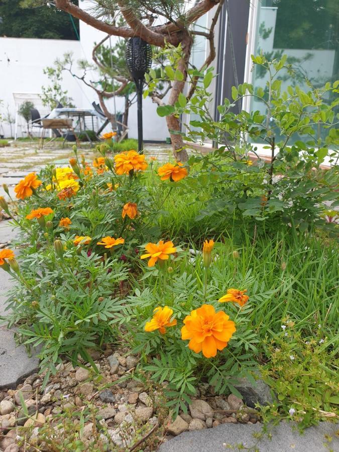 Sky Vivaldi Pension Hongcheon Bagian luar foto
